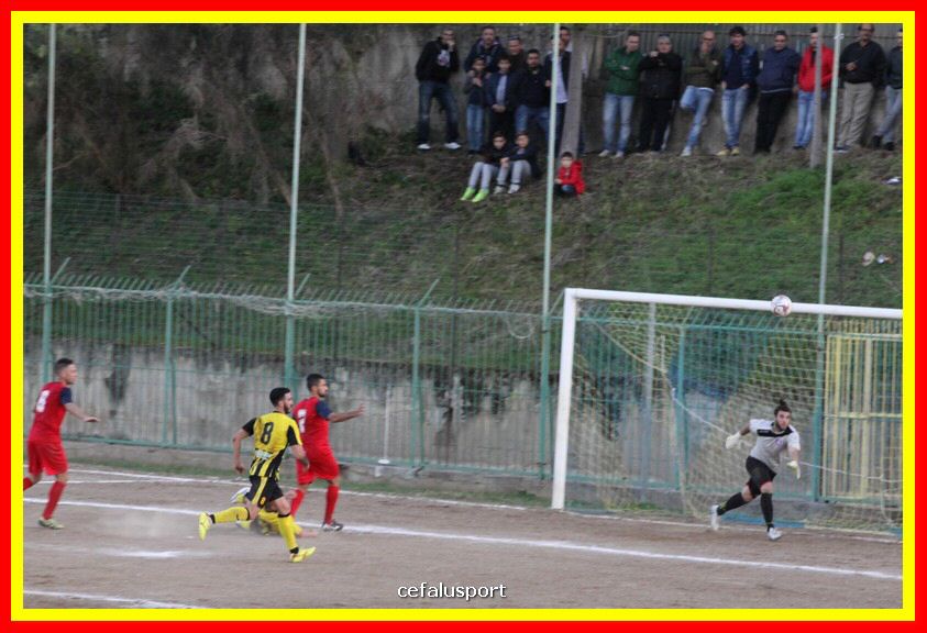 181111 Cepha_Milazzo 279_tn.JPG